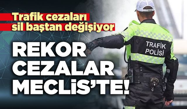Rekor cezalar Meclis’te!