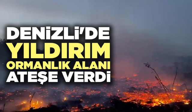 Denizli’de Ormanlık Alanı Ateşe Verdi