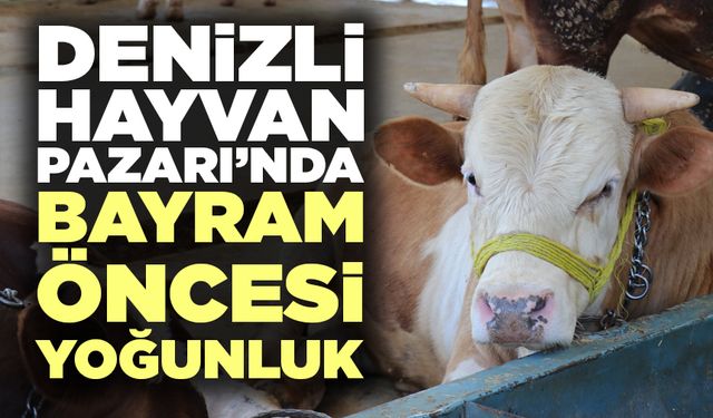 Denizli Hayvan Pazarı’nda Bayram Öncesi Yoğunluk