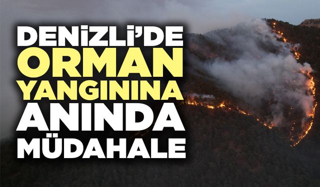 Denizli’de Orman Yangınına Anında Müdahale
