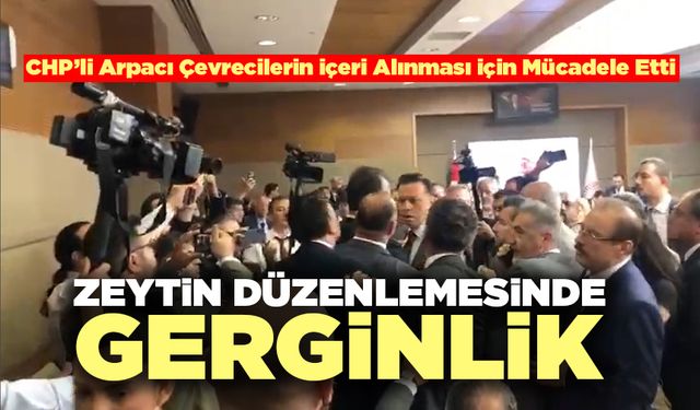 Zeytin Düzenlemesinde Gerginlik