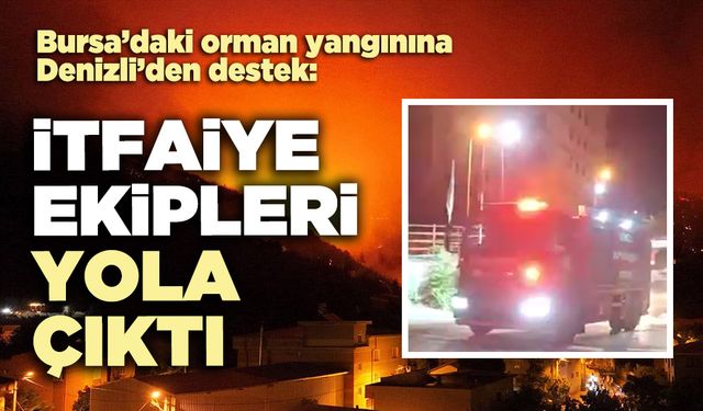 Bursa’daki orman yangınına Denizli’den destek: İtfaiye ekipleri yola çıktı