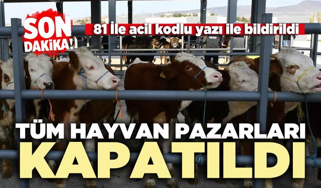 Tüm hayvan pazarları kapatıldı