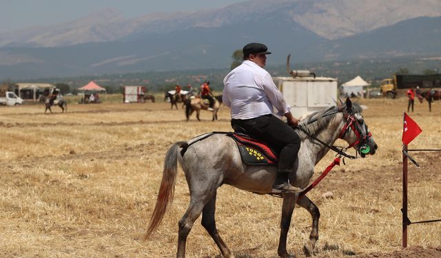 Tavas'ta Geleneksel Rahvan At Yarışları Tamamlandı
