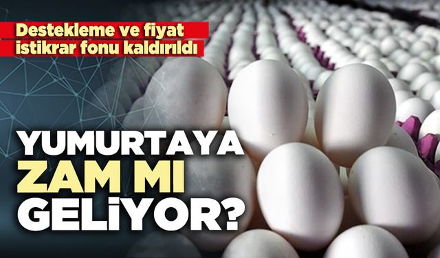 Yumurtaya zam mı geliyor?