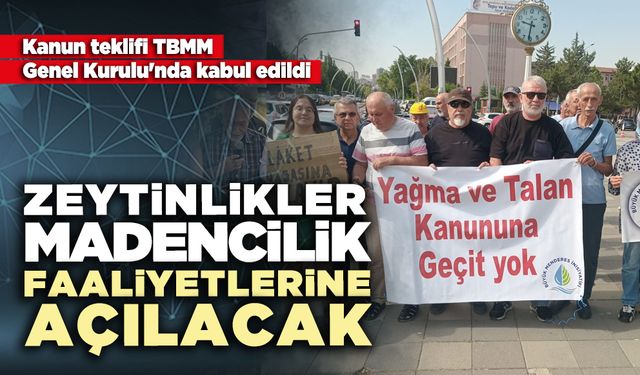 Kanun teklifi kabul edildi: Zeytinlikler madencilik faaliyetlerine açılacak
