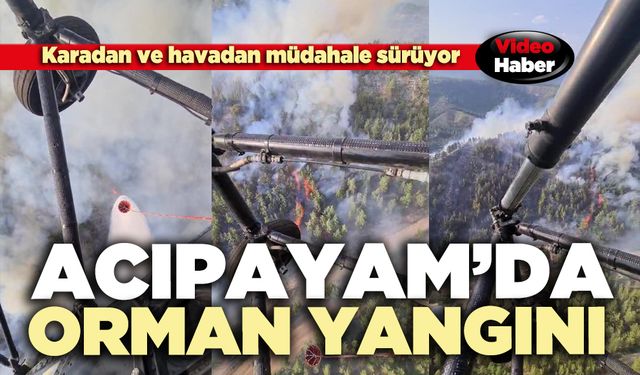 Acıpayam’da orman yangını