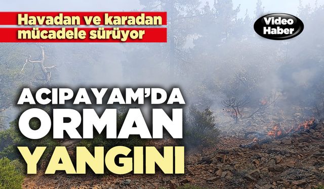Acıpayam’da orman yangını