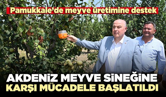Akdeniz meyve sineğine karşı mücadele başlatıldı