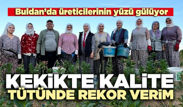 Kekikte kalite, tütünde rekor verim