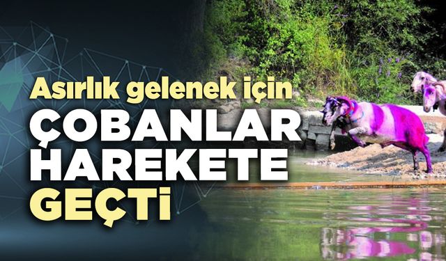 Asırlık gelenek için çobanlar harekete geçti