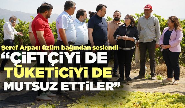 Şeref Arpacı üzüm bağından tepki gösterdi