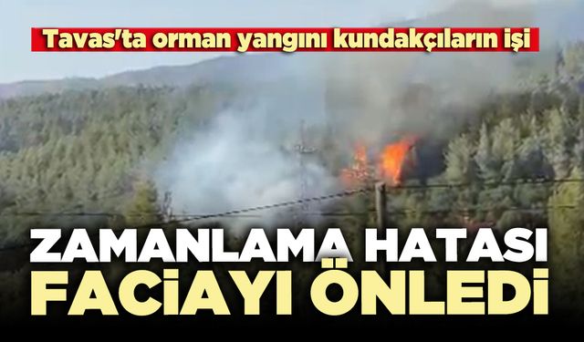Tavas orman yangınında zamanlama hatası faciayı önledi