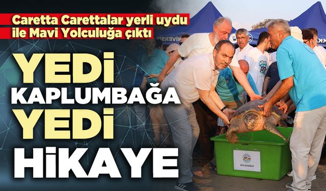 Yedi kaplumbağa, yedi hikâye