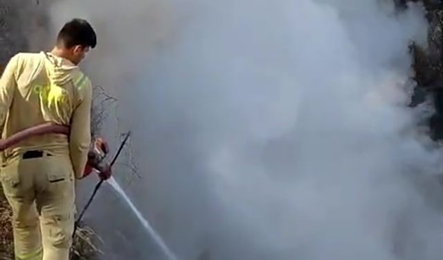 Orman sahasında ekipler tedbiri elden bırakmıyor