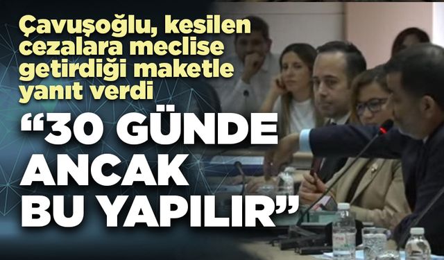Çavuşoğlu, kesilen  cezalara meclise  getirdiği maketle  yanıt verdi: "30 günde ancak bu yapılır"