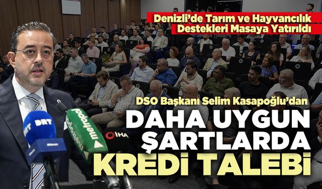 DSO Başkanı Selim Kasapoğlu’dan daha uygun şartlarda kredi talebi