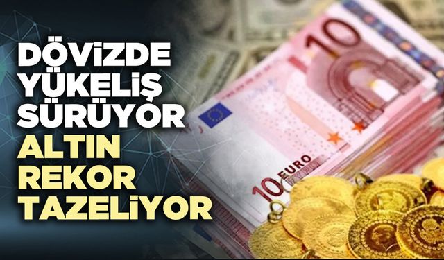 Dövizde yükeliş sürüyor, altın rekor tazeliyor
