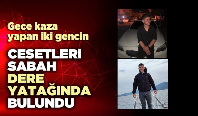 Gece kaza yapan iki gencin cesetleri sabah dere yatağında bulundu