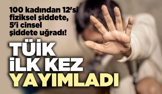 TÜİK ilk kez yayımladı: 100 kadından 12'si fiziksel ş*iddete, 5'i cinsel ş*iddete uğradı!