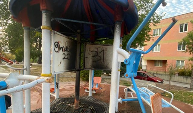 Parkta oynayan çocuklar oyuncağı ateşe verdi
