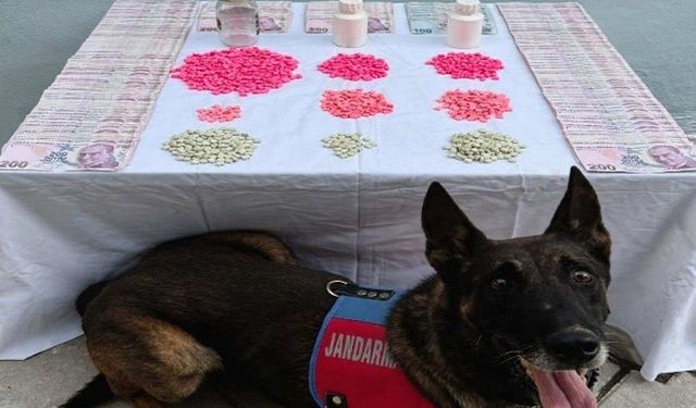 Denizli’de narkotik tacirlerine operasyon düzenlendi