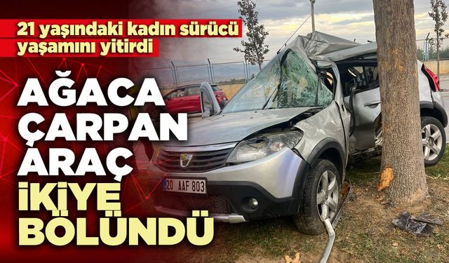 Ağaca çarpan araç ikiye bölündü