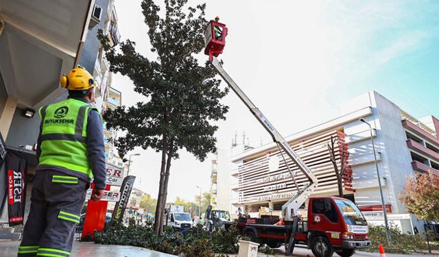 Büyükşehir’de park ve yeşil alanlarda budama çalışmaları sürüyor