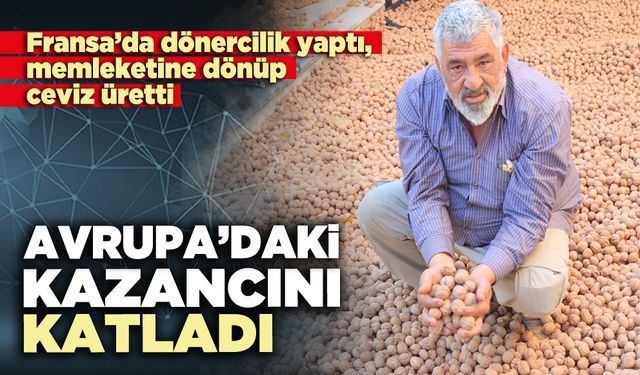 Memleketine dönüp ceviz üretti, Avrupa kazancını katladı