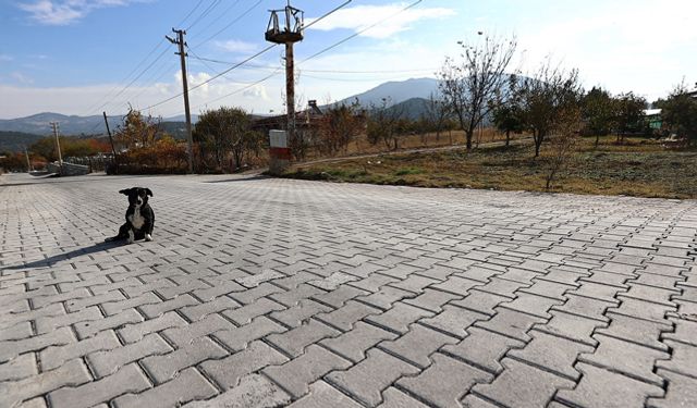 Serinhisar’ın mahallelerine kilit parke döşeniyor