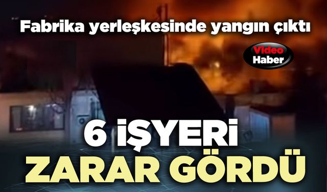 Fabrika yerleşkesinde yangın çıktı: 6 işyeri zarar gördü