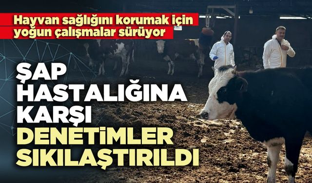 Denizli'de şap hastalığına karşı denetimler sıkılaştırıldı