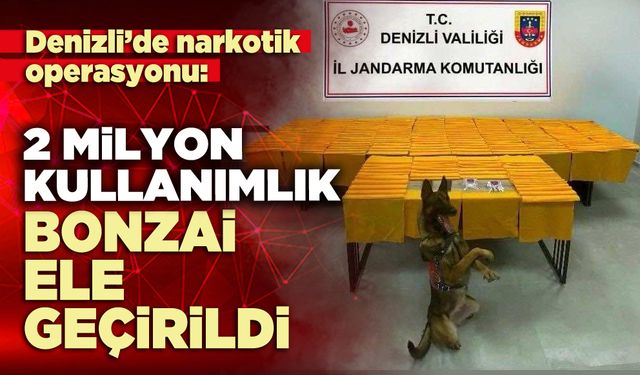 2 Milyon kullanımlık bonzai ele geçirildi