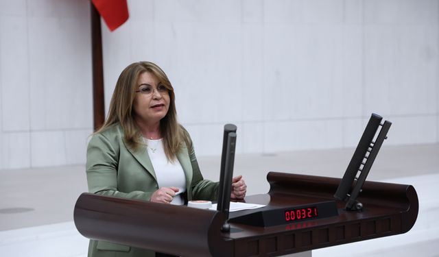 Gülizar Biçer Karaca'dan 2025 bütçesine sert eleştiri