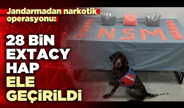 Jandarmadan narkotik operasyonu: 28 bin extacy hap ele geçirildi