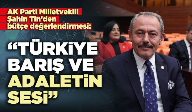 Milletvekili Şahin Tin: “Türkiye barış ve adaletin sesi”