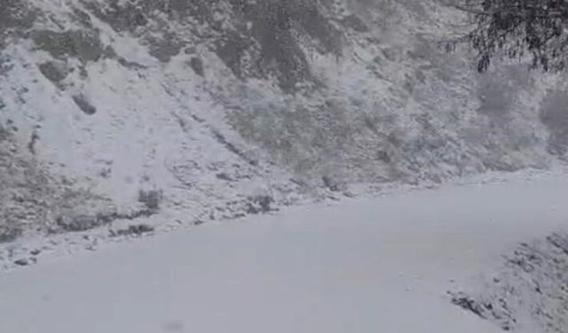 Yazın yanan orman sahası beyaza büründü