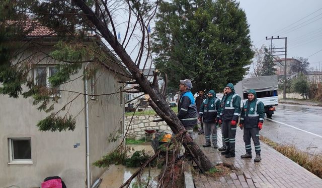 Pamukkale Belediyesi’nden Fırtına Ve Sağanağa Anında Müdahale