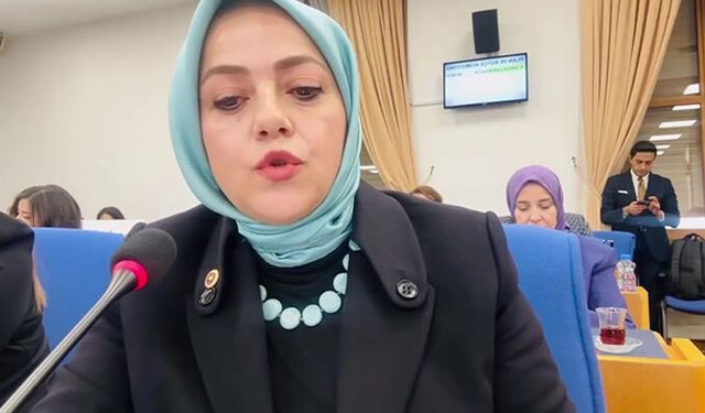 Milletvekili Ün kayıp 104 bin çocuğu sordu