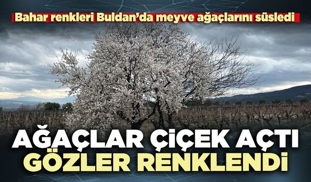 Ağaçlar çiçek açtı, gözler renklendi