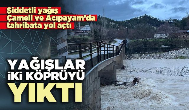 Yağışlar iki köprüyü yıktı