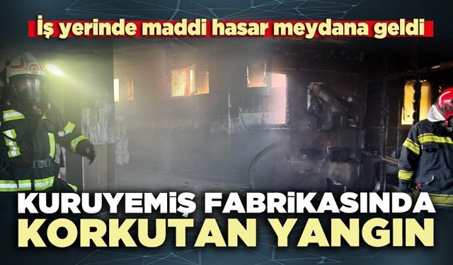 Kuruyemiş fabrikasında korkutan yangın