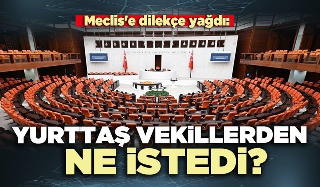 Meclis'e dilekçe yağdı: Yurttaş vekillerden ne istedi?