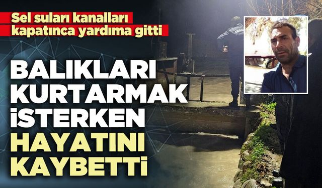 Balıkları kurtarmak isterken hayatını kaybetti
