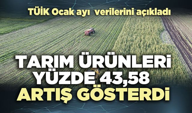 Tarım ürünleri yüzde 43,58 artış gösterdi