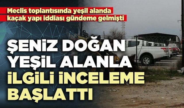 Şeniz Doğan yeşil alanla ilgili inceleme başlattı