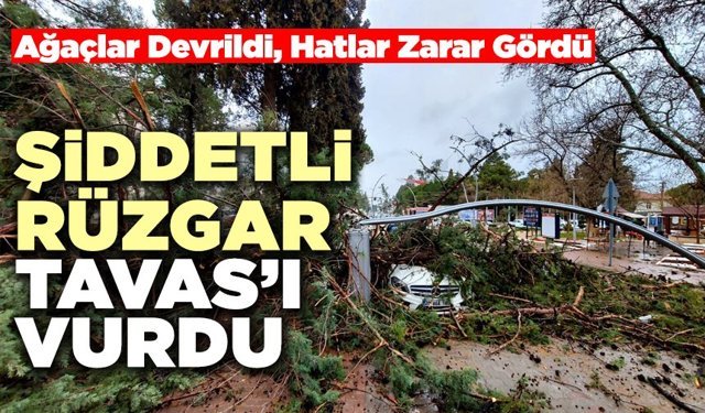 Şiddetli Rüzgar Tavas’ı Vurdu