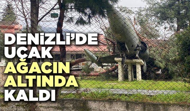 Denizli'de Uçak Ağacın Altında Kaldı