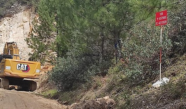 Sait Yalçın: "Maden için 724 ağaç kesilecek"
