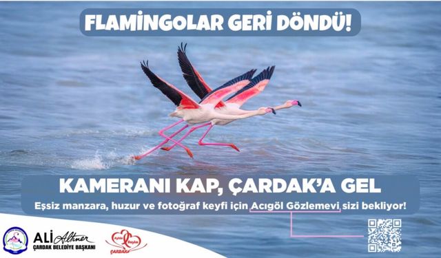 Çardak Belediyesi Flomingalar geri döndü hpopup reklamı 29 nisan